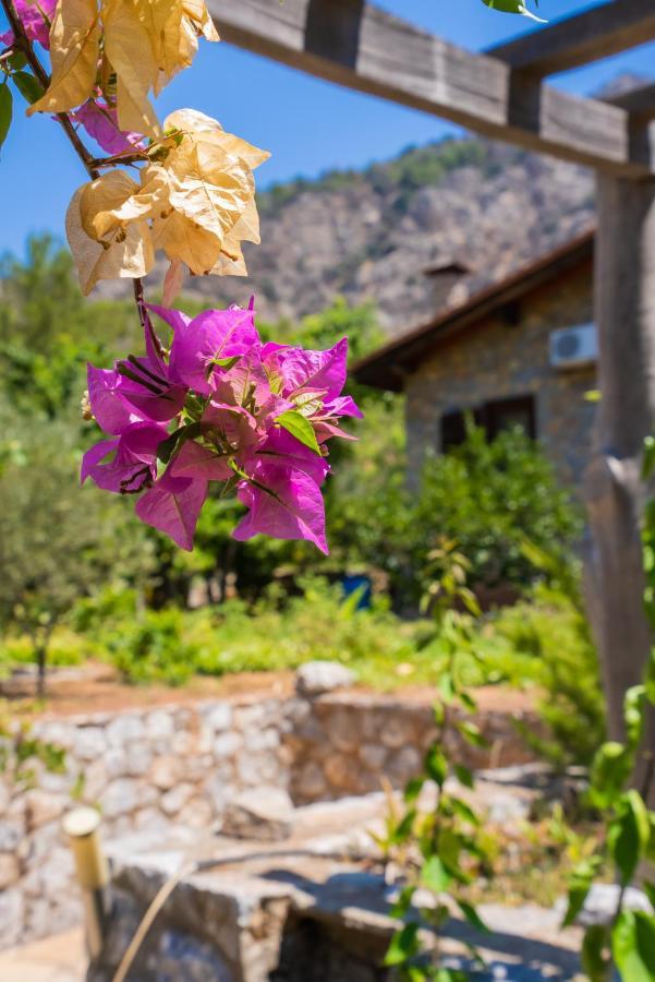 Sakin Vadi Villas Marmaris Kültér fotó